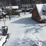 Apartment Haus Ilsegarten Ilsenburg