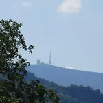 Apartment Haus Ilsegarten *