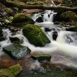 Apartment Haus Ilsegarten