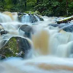 Haus Ilsegarten Ilsenburg