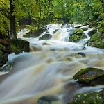 Haus Ilsegarten Apartment *