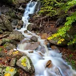 Haus Ilsegarten * Ilsenburg