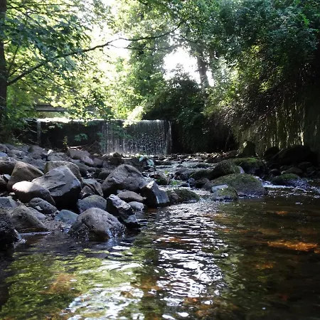 Haus Ilsegarten 아파트 일젠부르크