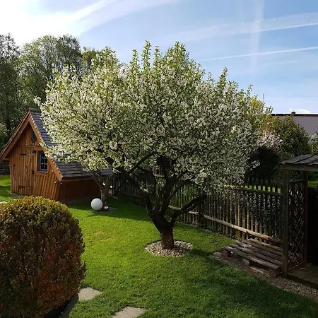 Haus Ilsegarten 公寓 伊尔森堡