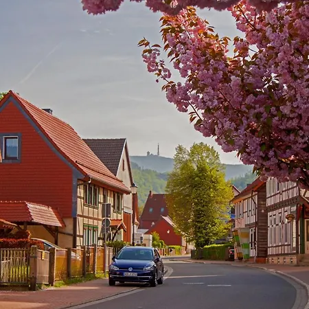 Haus Ilsegarten Apartman *