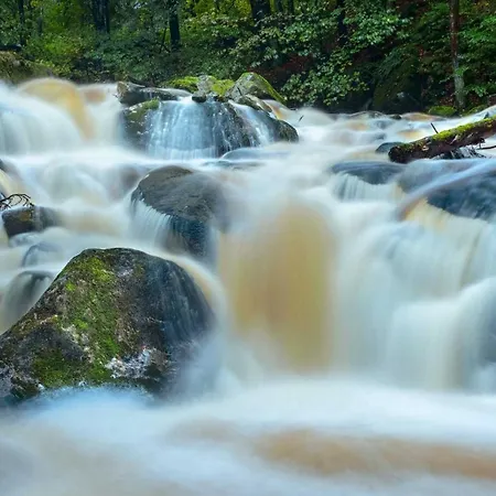 Haus Ilsegarten Ilsenburg