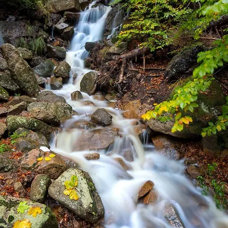 Haus Ilsegarten * Ilsenburg