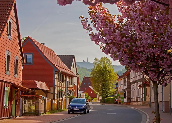 Haus Ilsegarten Appartamento *