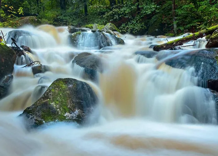 Haus Ilsegarten Ilsenburg
