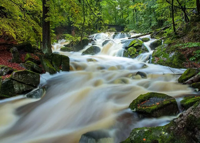 Haus Ilsegarten דירה *