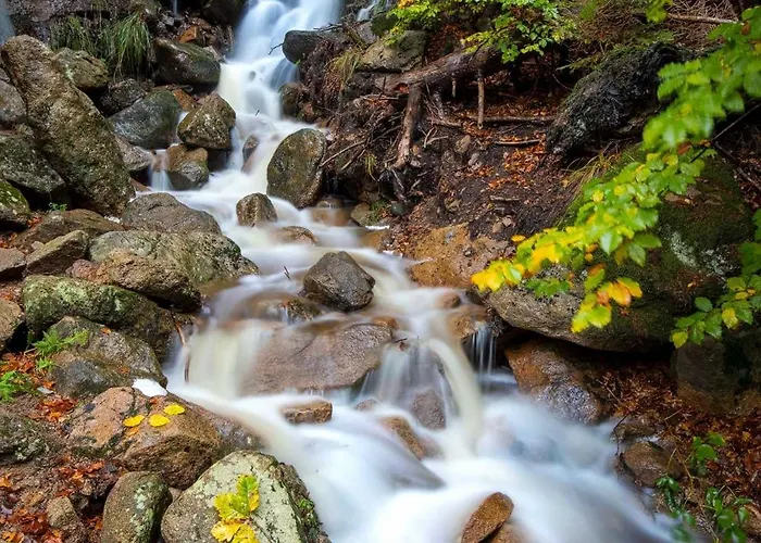 Haus Ilsegarten * Ilsenburg